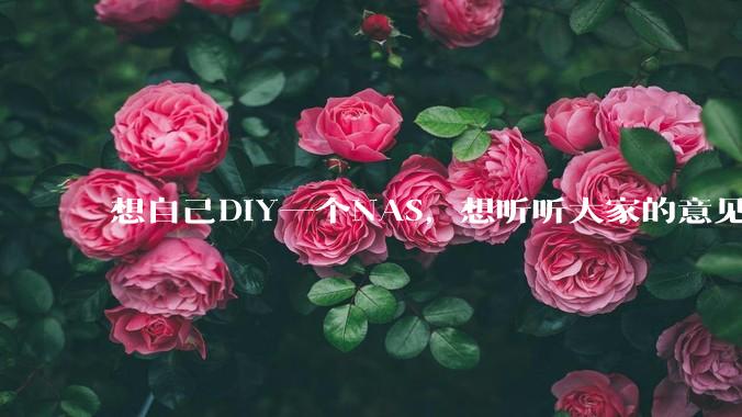 想自己DIY一个NAS，想听听大家的意见。？