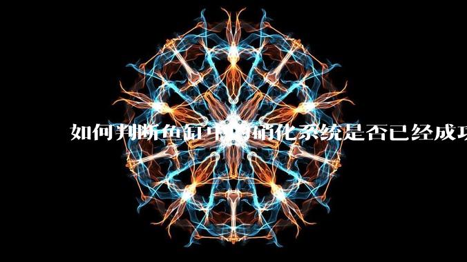 如何判断鱼缸中的硝化系统是否已经成功建立？