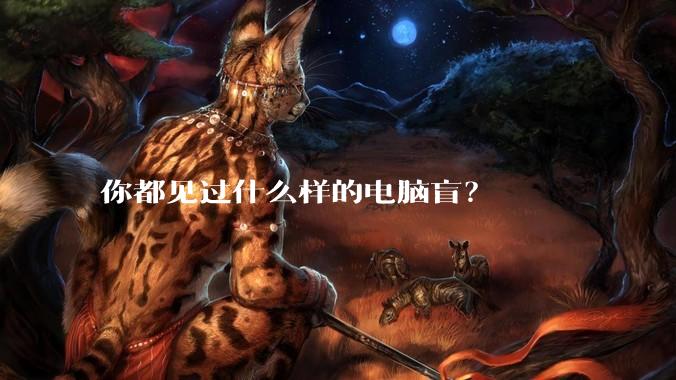 你都见过什么样的电脑盲？