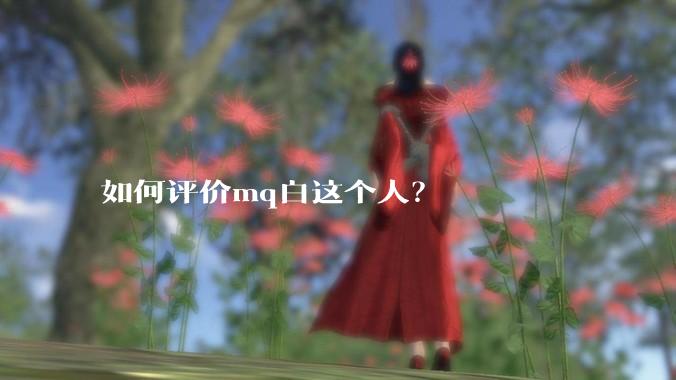 如何评价mq白这个人？