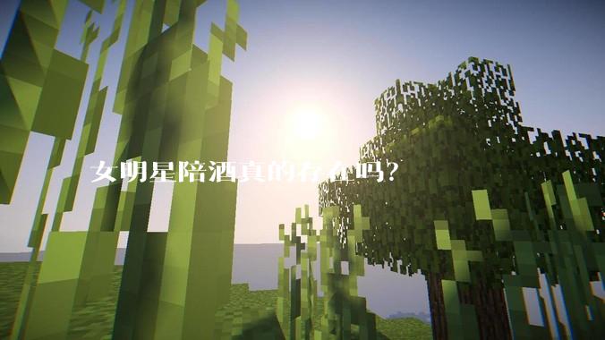 女明星陪酒真的存在吗？