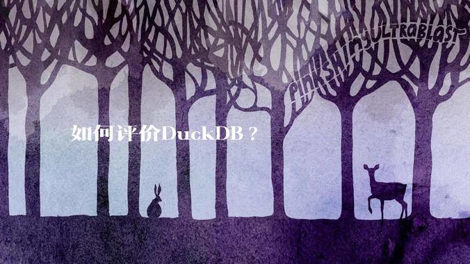 如何评价DuckDB?