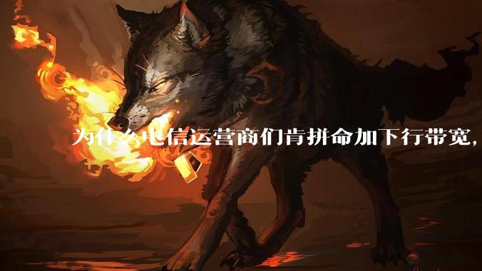 为什么电信运营商们肯拼命加下行带宽，却对上行严防死守?