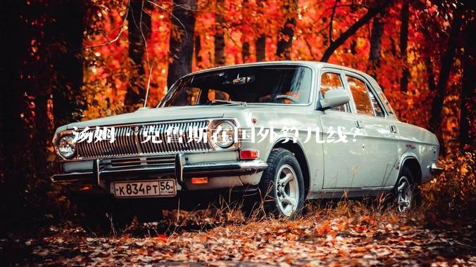 汤姆·克鲁斯在国外算几线？