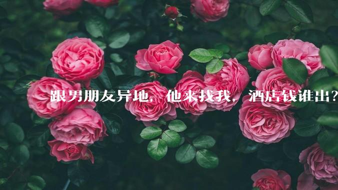 跟男朋友异地，他来找我，酒店钱谁出？