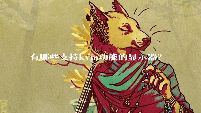 有哪些支持kvm功能的显示器？