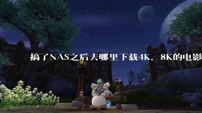 搞了NAS之后去哪里下载4K,8K的电影?