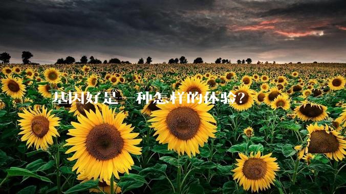 基因好是一种怎样的体验？