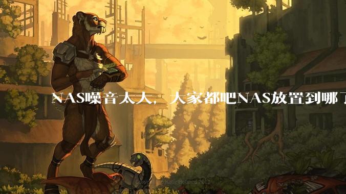 NAS噪音太大，大家都吧NAS放置到哪了？